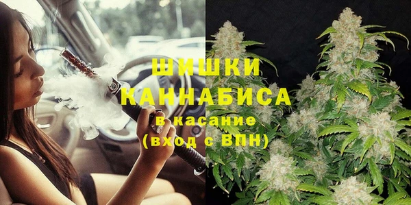 сатива Магас