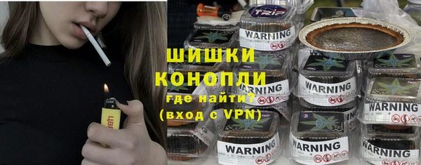сатива Магас