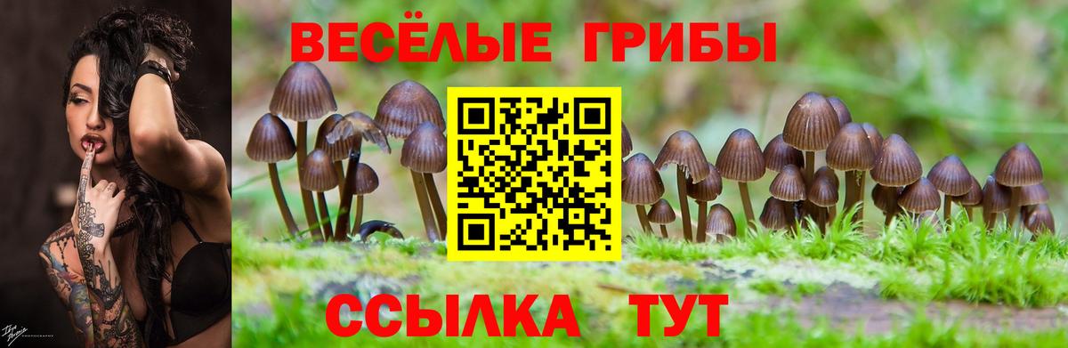 Галлюциногенные грибы Psilocybe  Псилоцибиновые грибы ЛСД  Вход с VPN  Егорьевск 