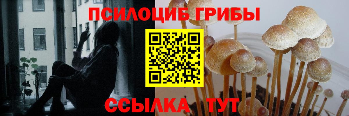 Псилоцибиновые грибы мухоморы Егорьевск